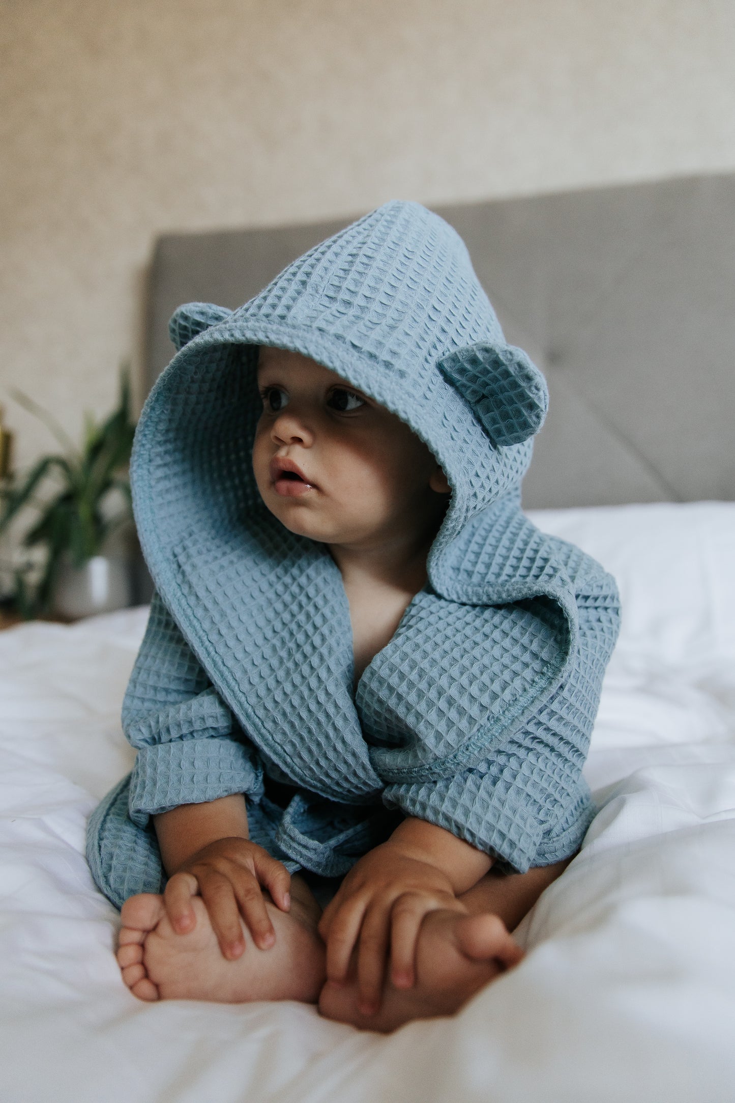 Kopalni Plašček - WaffleTeddy