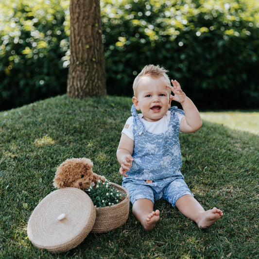 Pajacek z nastavljivimi naramnicami / Capsule Collection (Copy)